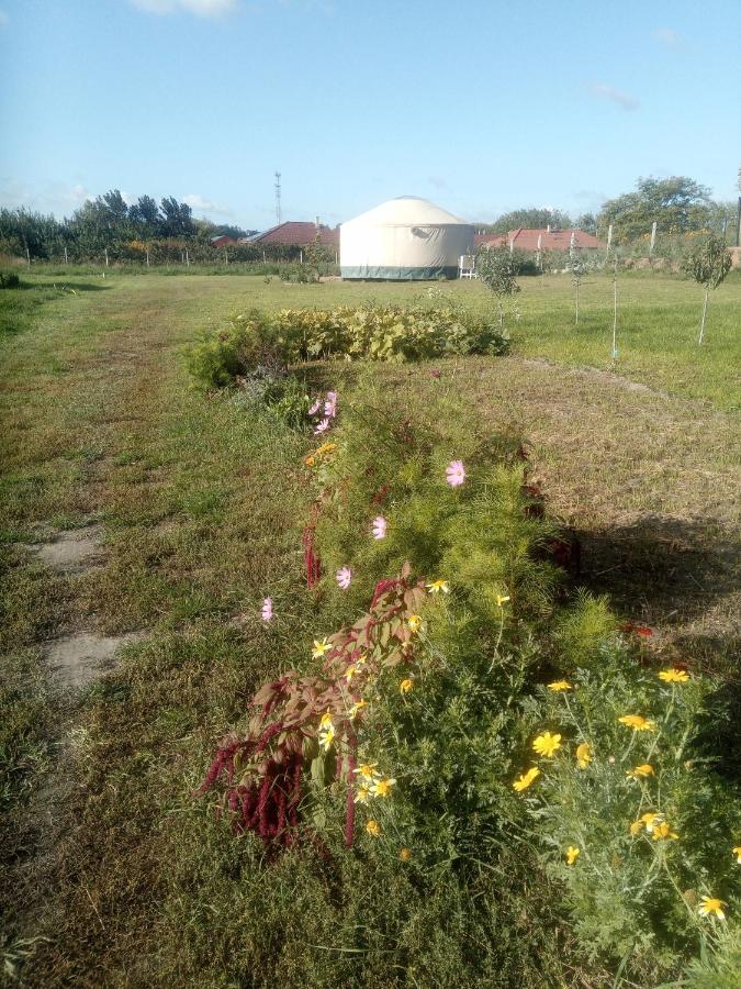 Отель Jurtafarm Rackeve - A Nomad Luxus Экстерьер фото